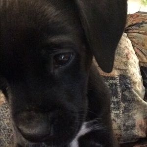 Meet your Posher, Sophia